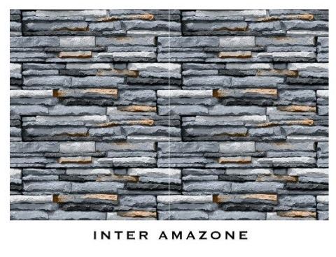 INTER AMAZONE 12X18 ANMOL (HD ELEVATION)